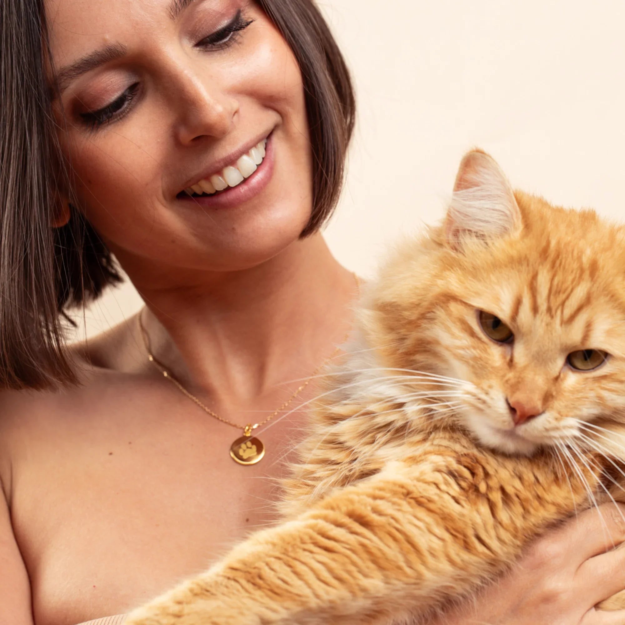Patte d'animaux